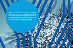 Antibodies for Cancer Research